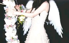 男人插曲视频大全免费